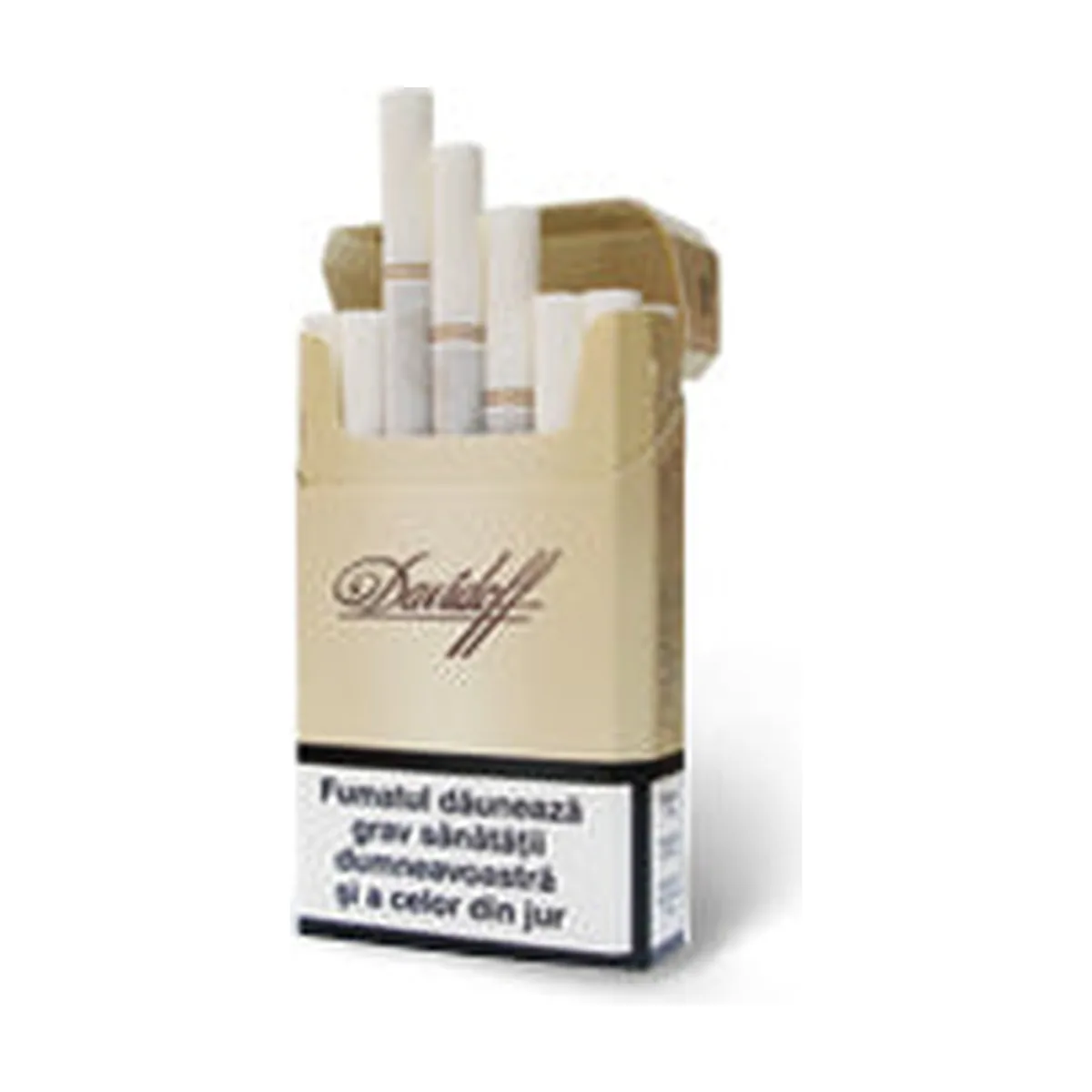 CIGARRO GIFT BOX C/ 10